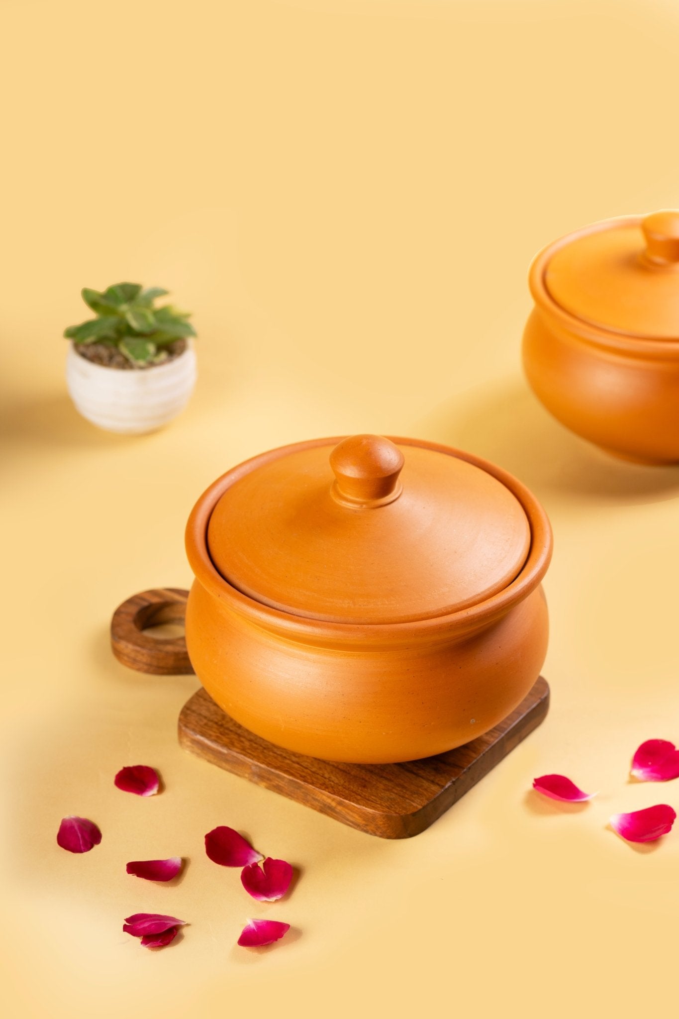 Terracotta Dahi Matka Side View – Clay Curd Setter for Thick Creamy Yogurt