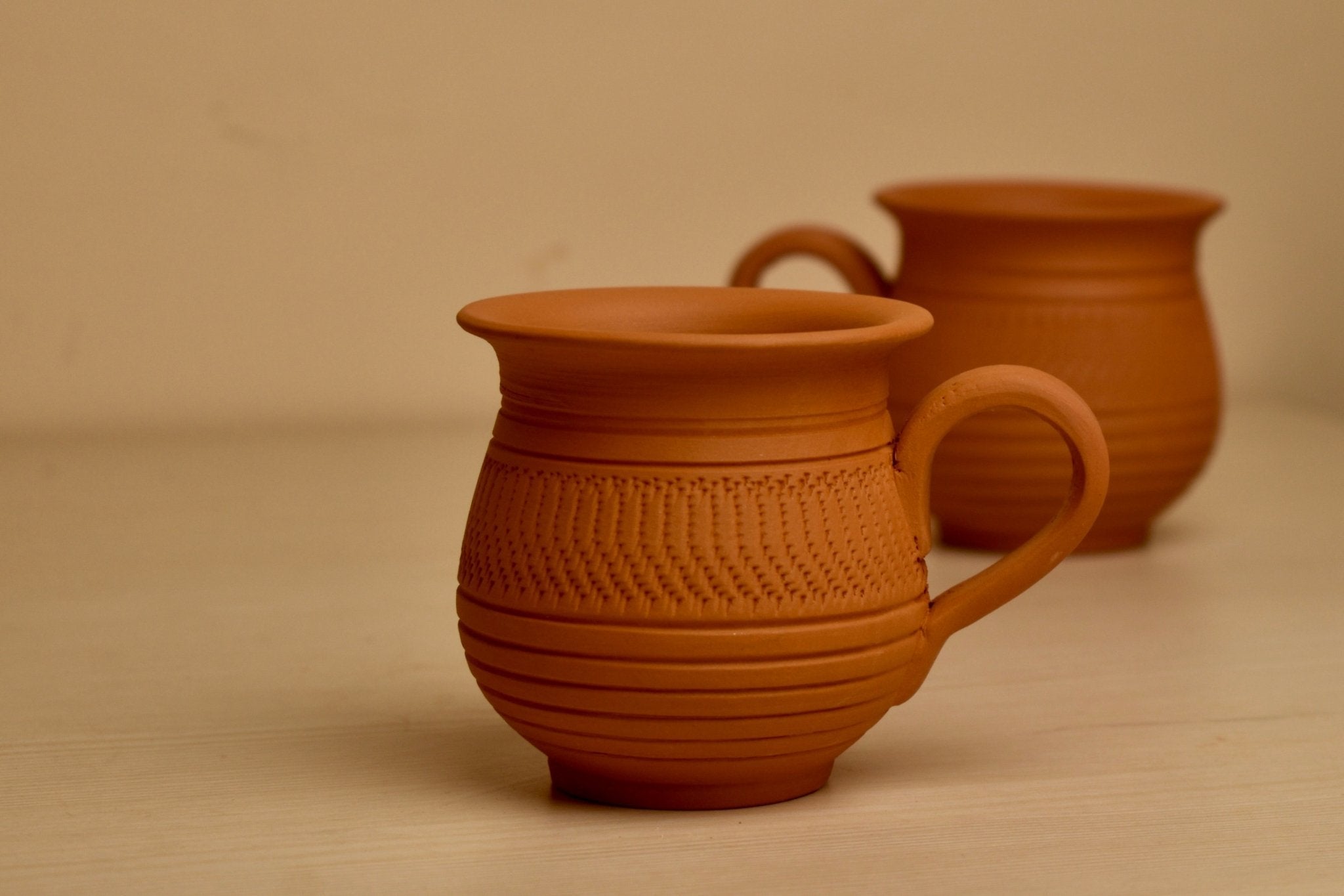 Masala Mug - Set of 2 - Mittified